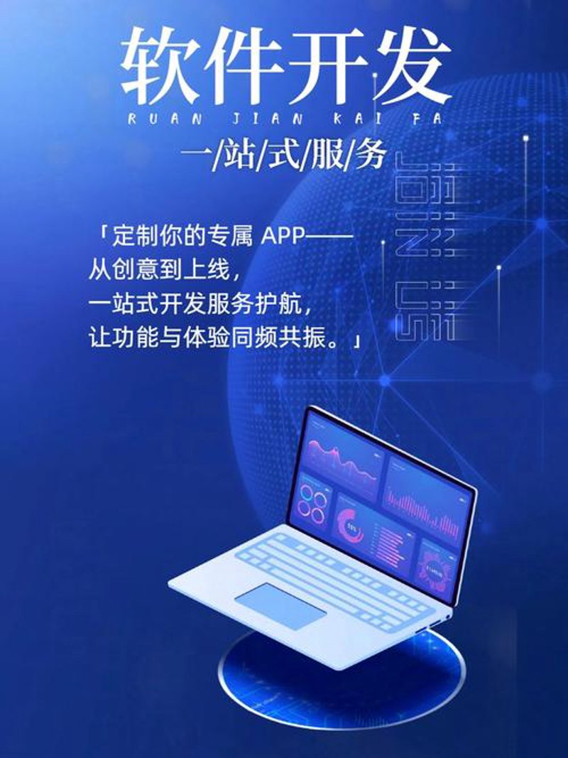 上海软件开发：打造高效定制化解决方案的前沿阵地